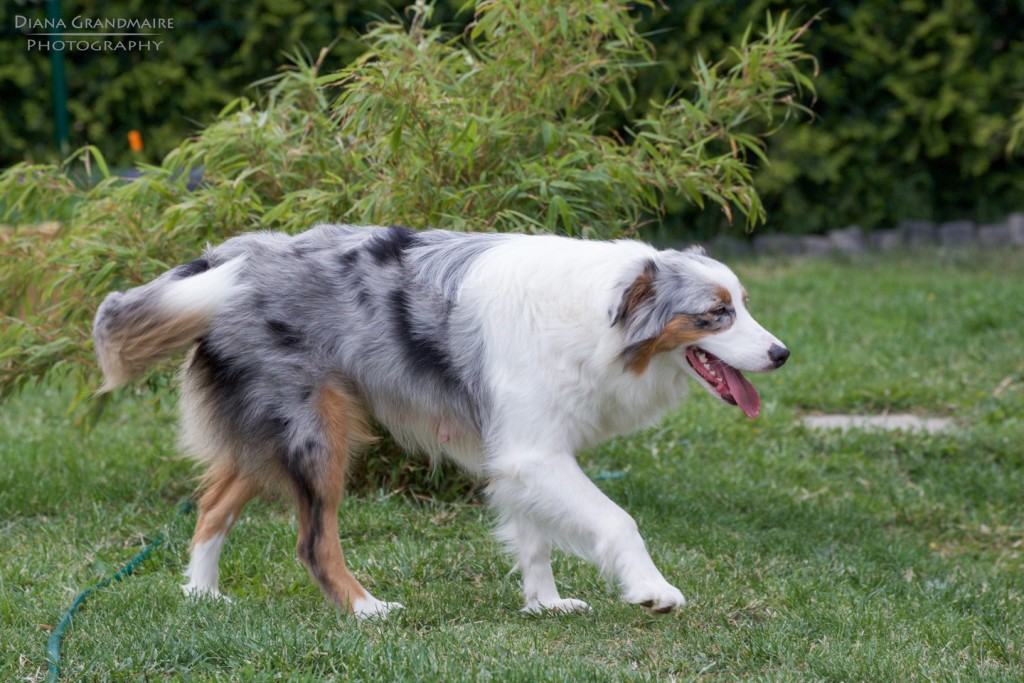 Maggie Juni 2015